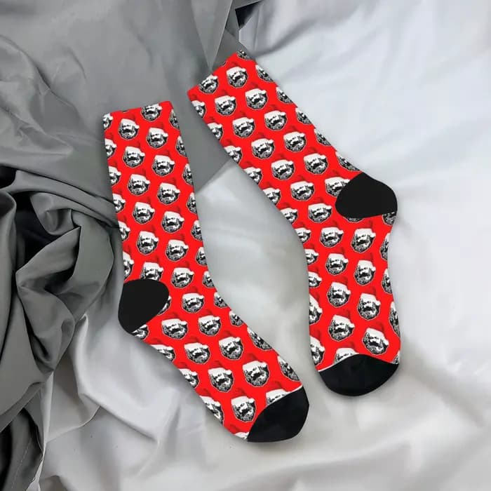 Chaussettes imprimées Santa Karl Marx, bas décontractés pour adultes et hommes, chaussettes de sport