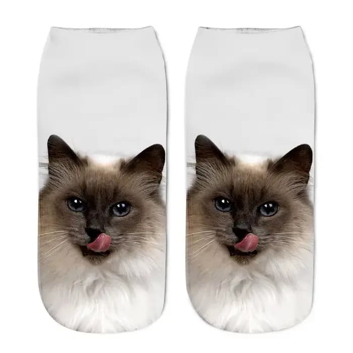 Chaussettes basses à motif de chat mignon pour femmes, imprimé de dessin animé coloré et amusant ave