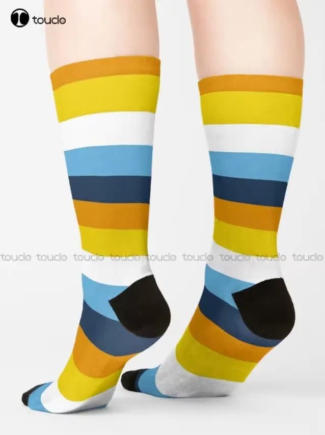 Chaussettes drapeau Aroace Pride