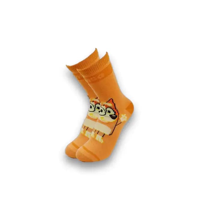 Chaussettes pour hommes de qualité supérieure