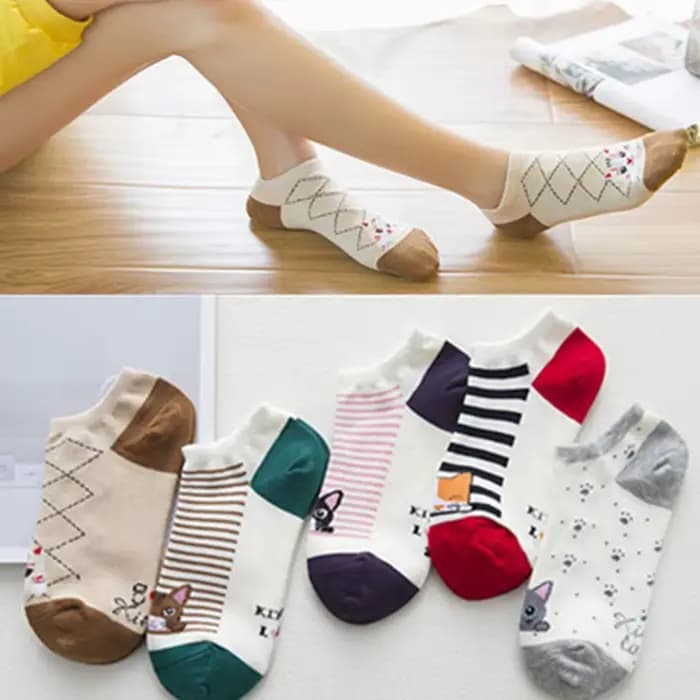 Chaussettes Courtes de Style Coréen pour Femme, 5 Paires, Animal, Chat, Chien, Krasnoise, Coupe Basse, Rinçage, Happy Sok, Medias Streetwear, Printemps