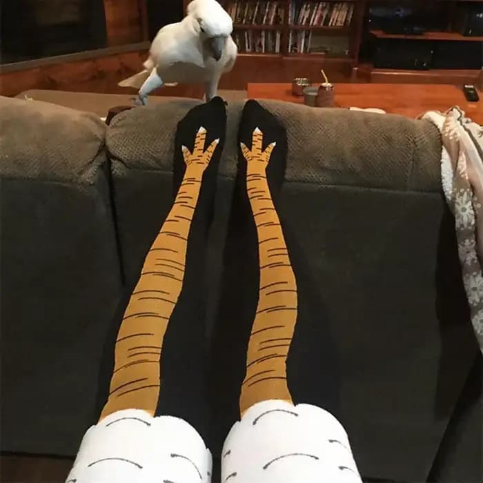 Chaussettes hautes en coton pour hommes