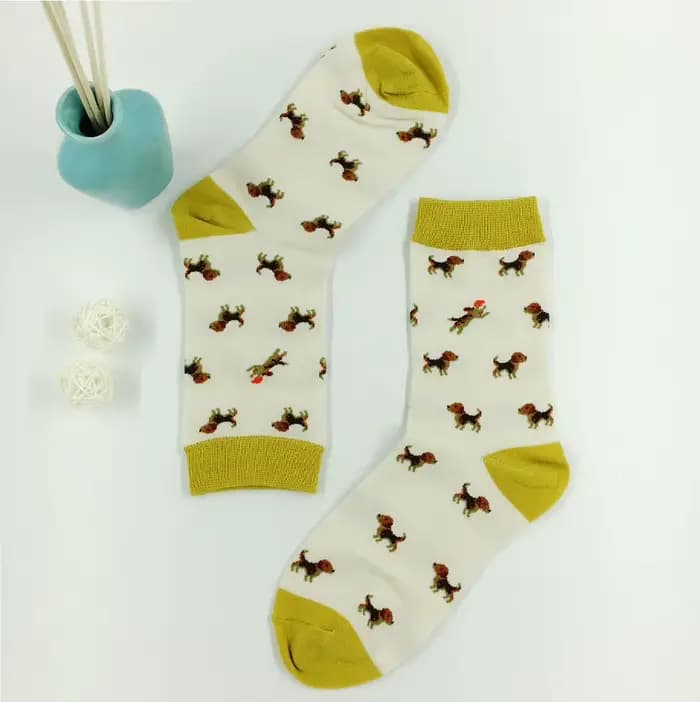Chaussettes pour animaux Caramella