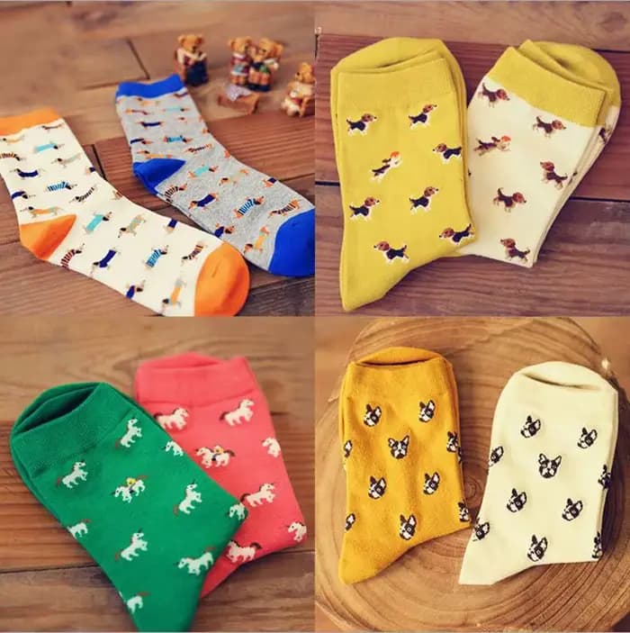Chaussettes pour animaux Caramella