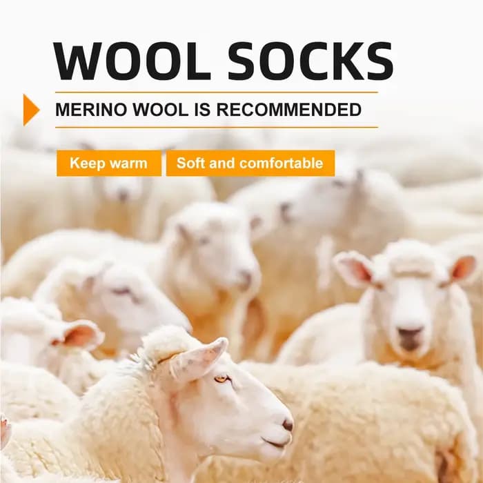 WRELS Chaussettes en laine mérinos pour hommes