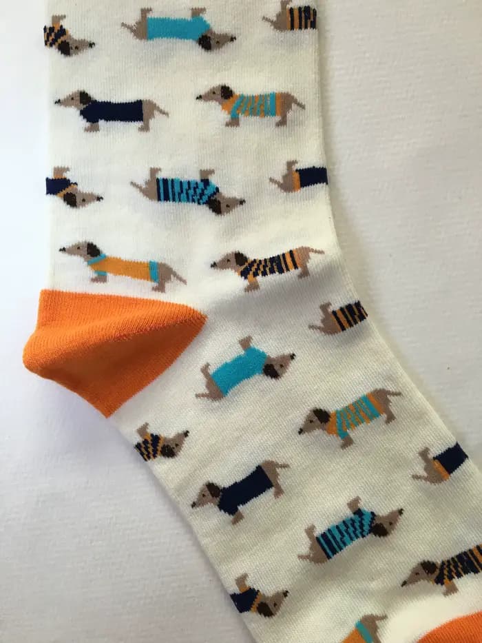 Chaussettes pour animaux Caramella