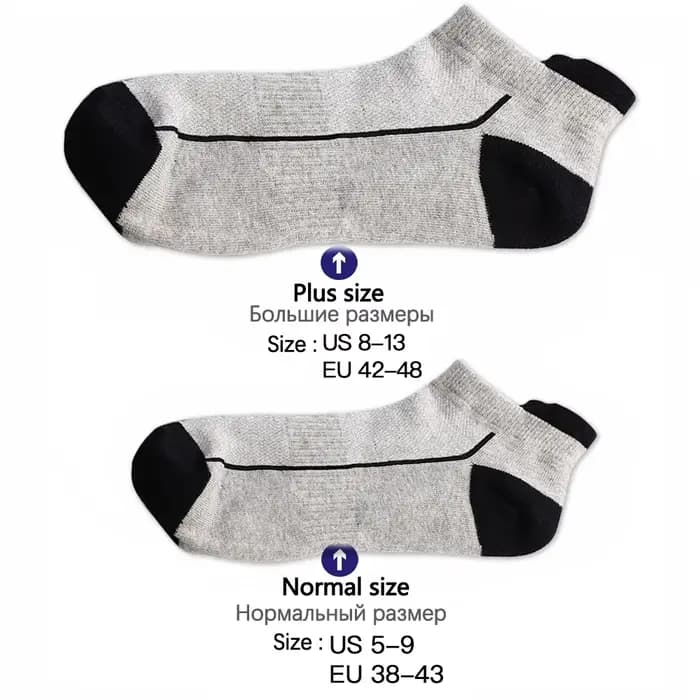 HSS Chaussettes Courtes en Coton Biologique pour Homme