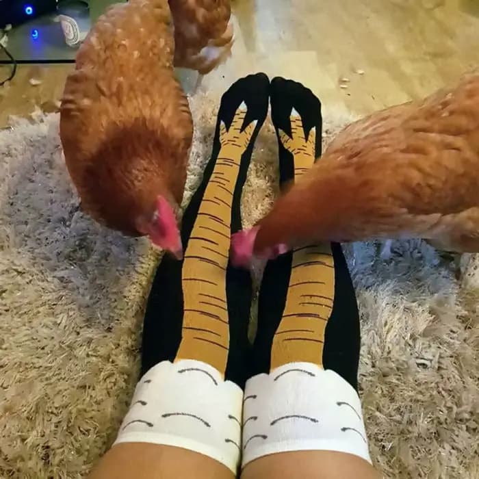 Chaussettes de jambe de poulet pour femmes