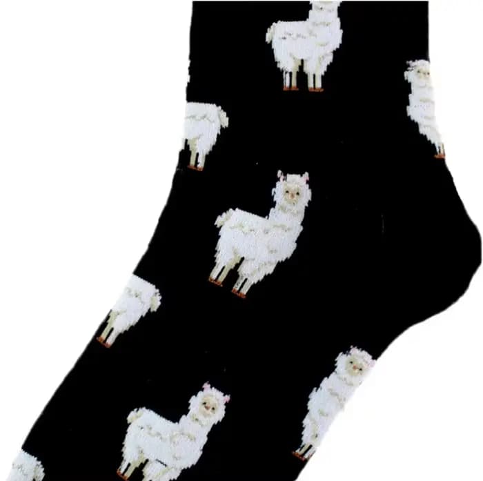 Chaussettes courtes amusantes en coton pour femmes
