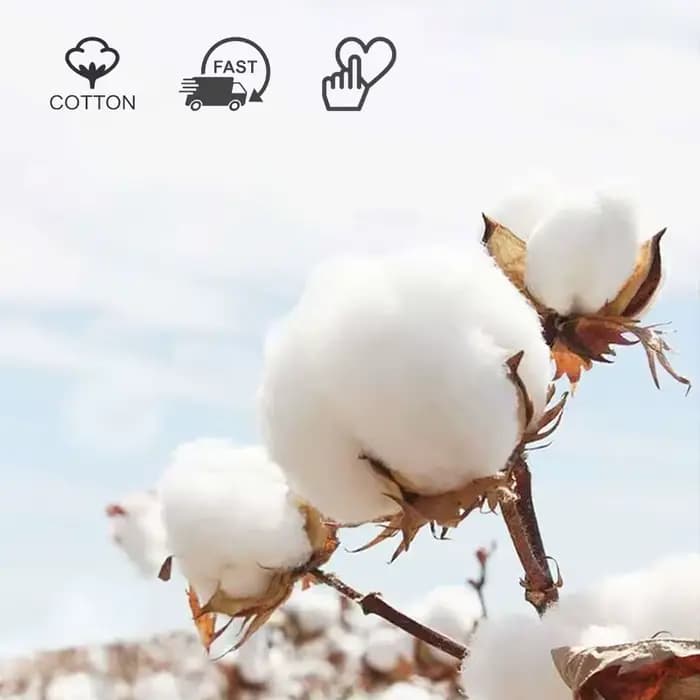 Chaussettes en coton imprimé Animal pour femmes