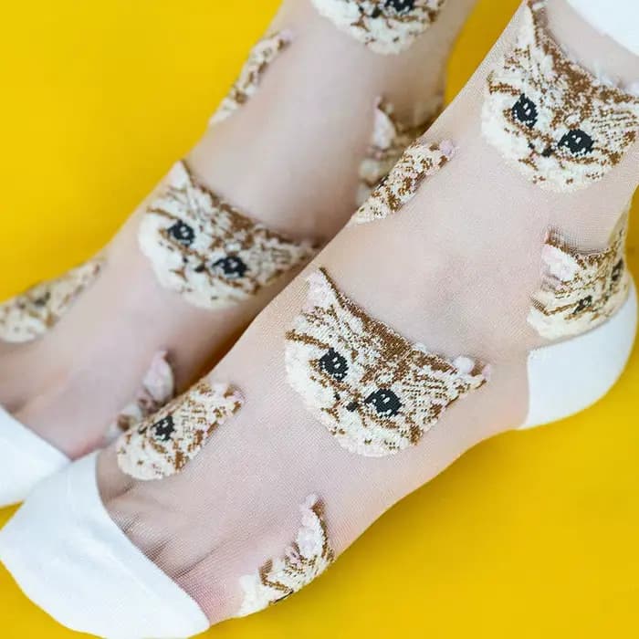 Chaussettes transparentes en fibre de verre pour femmes