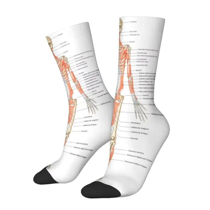 Chaussettes mi-mollet pour hommes