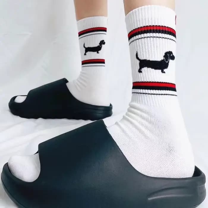 Teckel Chaussettes pour hommes et femmes