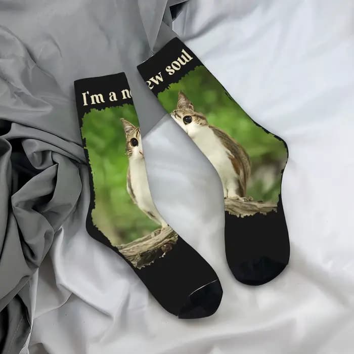 Chaussettes unisexes pour hommes, drôles Meowl Meme chat hibou Meme Brainrot Gen, bas d'hiver Haraju