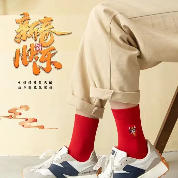5 paires de coffret cadeau brodé chaussettes rouges hommes et femmes même Style année du zodiaque chaussettes mi-mollet