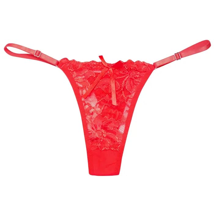 Dames dentelle Sexy culottes brodé pansement sous-vêtements femmes Transparent respirant tongs nœud papillon