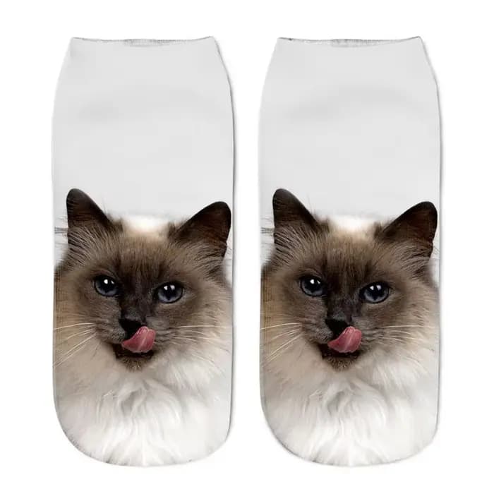 Chaussettes basses à motif de chat mignon pour femmes