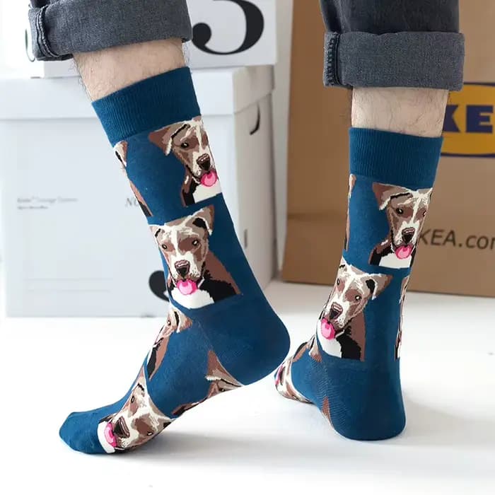 5 paires hommes chien chaussettes mi-mollet