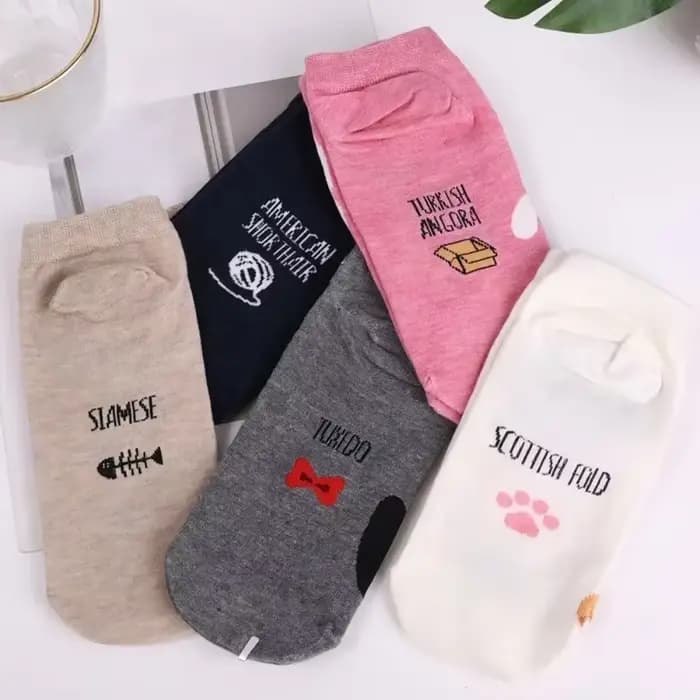 Chaussettes colorées d'animaux mignons pour femmes