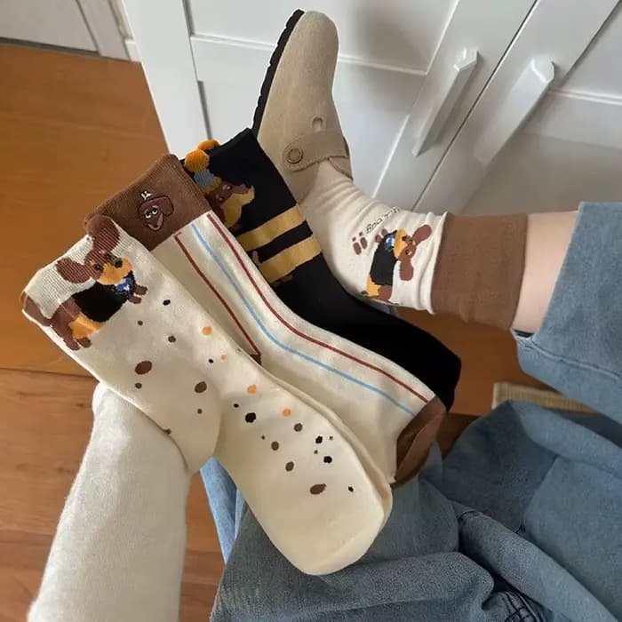 Dessin animé saucisse chien coton chaussettes mignon teckel tricot