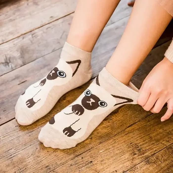 Chaussettes colorées d'animaux mignons pour femmes