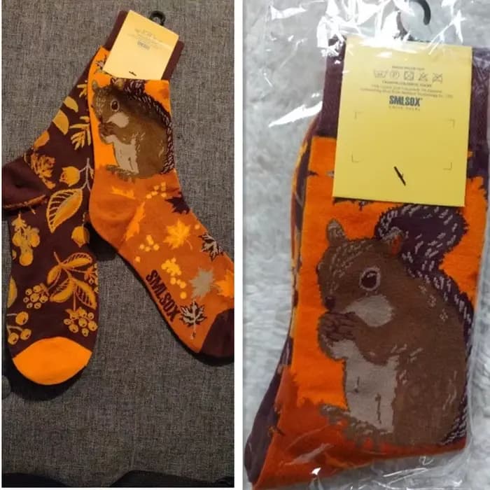 Chaussettes colorées unisexes en coton pour hommes et femmes