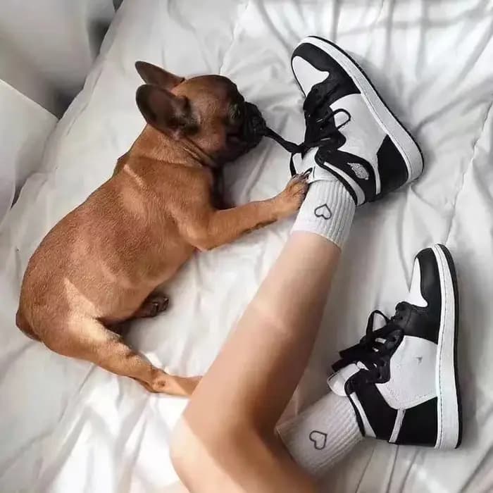 1/3/6 paires couleur unie amour coeur noir blanc femmes sport chaussettes courtes mode mignon dame fille cheville