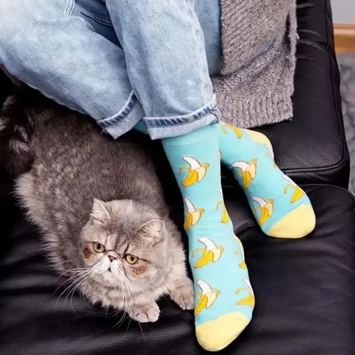 5 paires de chaussettes Tube moyen pour hommes