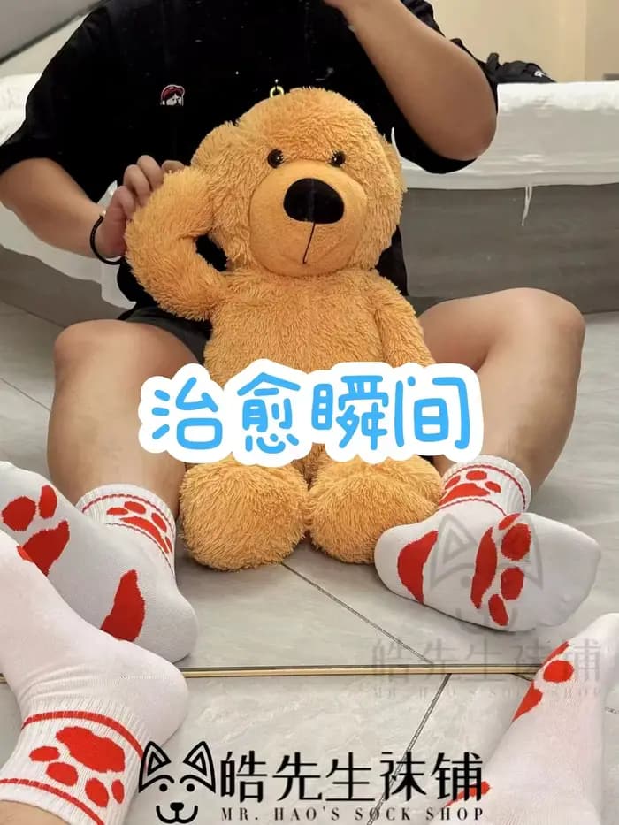 2025 nouveautés 4 paires de chaussettes décontractées en coton imprimé patte d'ours pour hommes