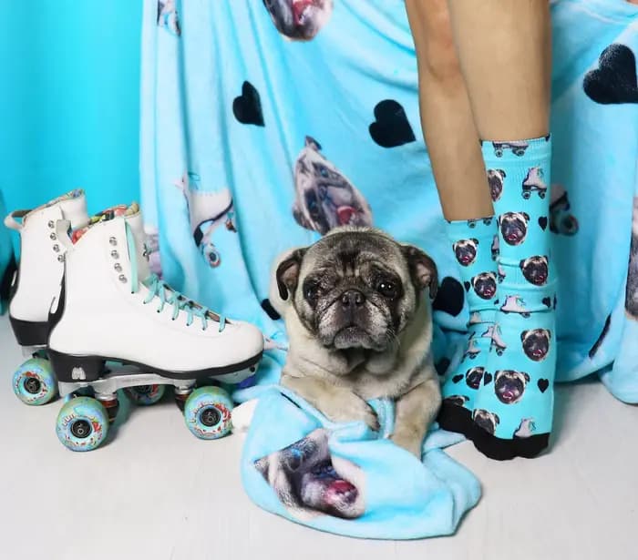 Chaussettes personnalisées pour animaux de compagnie