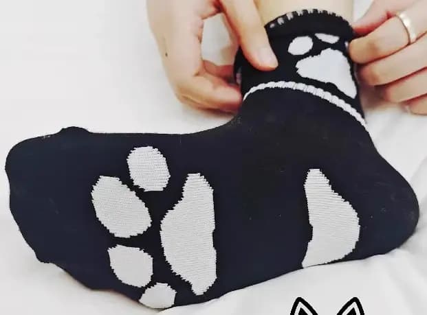 2025 nouveautés 4 paires de chaussettes décontractées en coton imprimé patte d'ours pour hommes